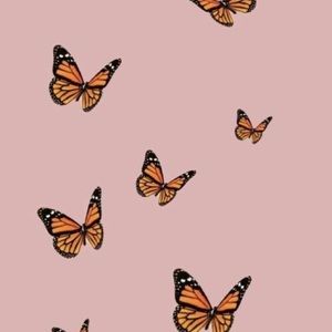 Meet your Posher, Emily & Arlene